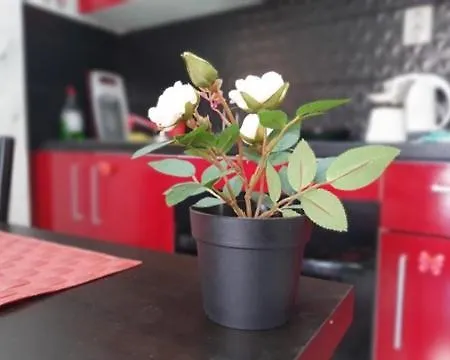 아파트 Maya Studio